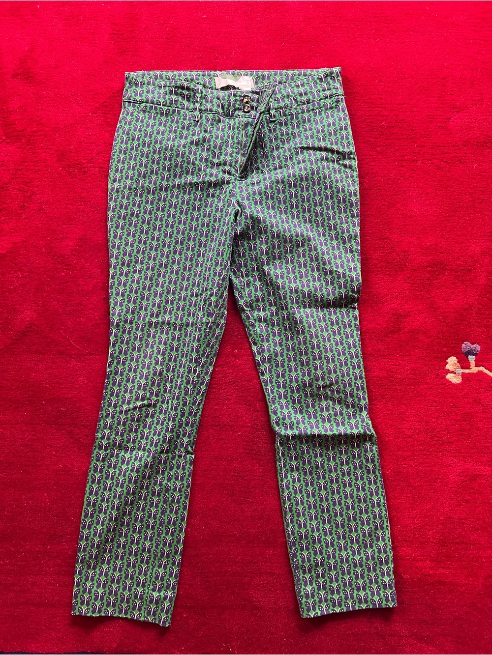 Anthropologie Green and Purple Butterfly Print Pants Size 8